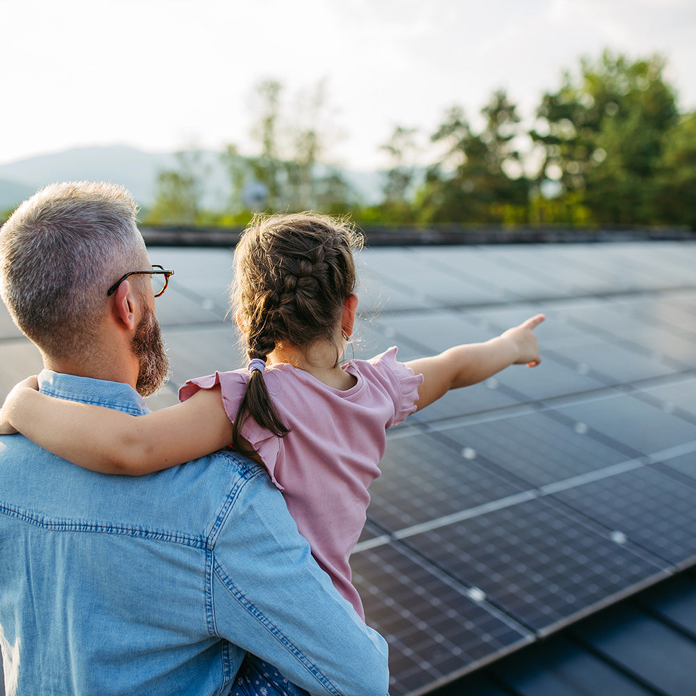 Home Solar Panel Cleaning